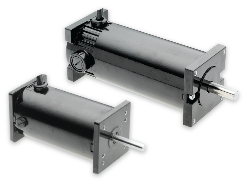 Bison PMDC Motors